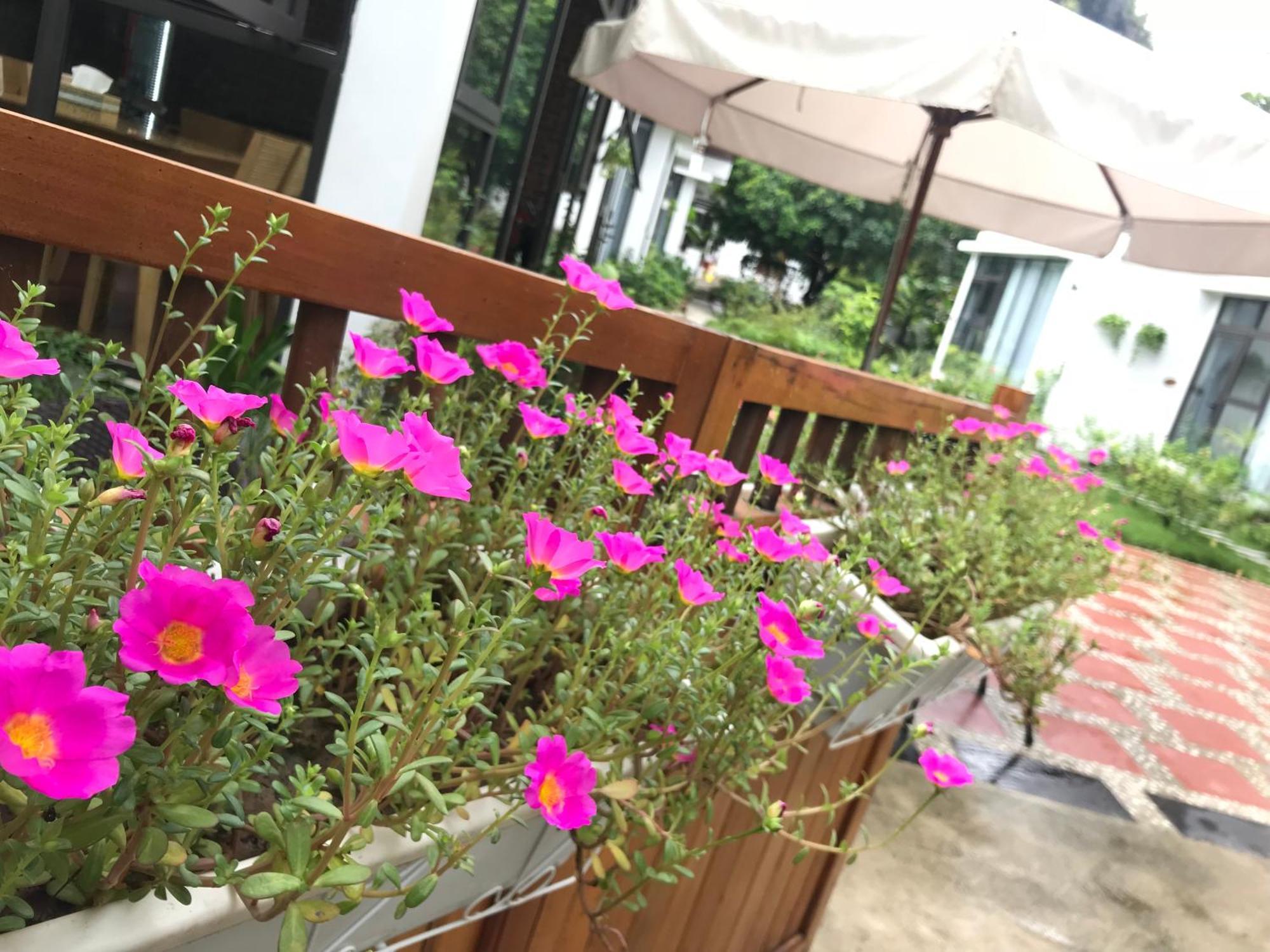 Tam Coc Boutique Garden Ninh Binh Exterior foto